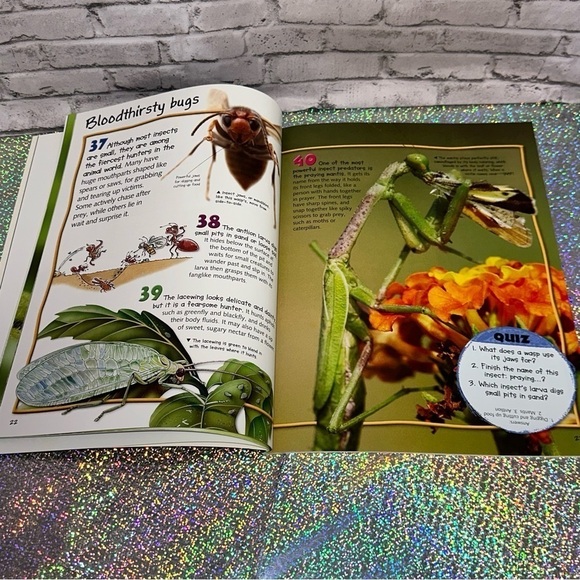 100 Facts BUGS Book Projects Quizzes Fun Facts Cartoons Miles Kelly Publishing - Picture 8 of 12